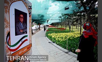 پیاده راه لاله مادران 55