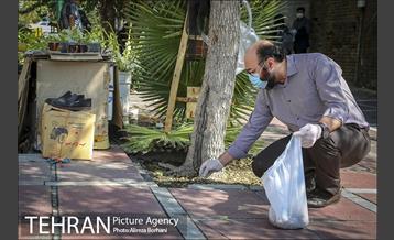 روز جهانی زمین پاک 15