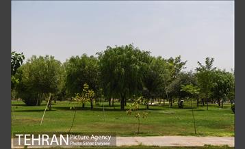 بوستان پردیس بانوان 15