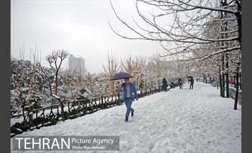 بارش برف زمستانی در تهران 21