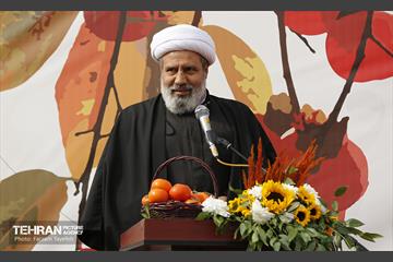 پنجمین جشنواره خرمالوی کن 19
