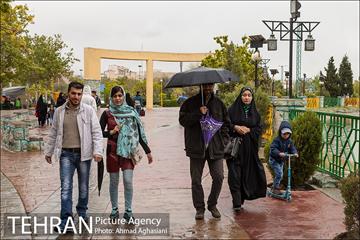روز طبیعت بارانی در بوستان رازی 8