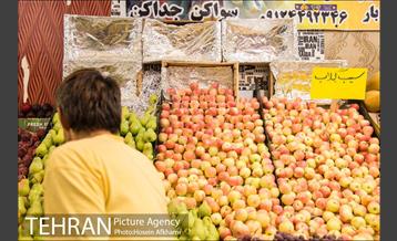 میوه های تابستانه رونق میوه فروشی ها 8