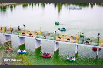 دریاچه بوستان رازی 13