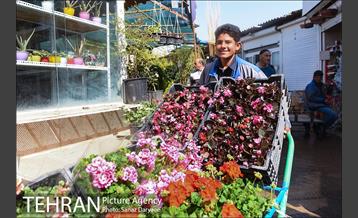 بازار گل شهید محلاتی در آستانه نوروز 32