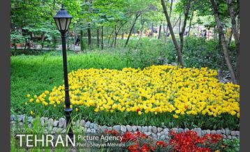 باغ ایراتی (بوستان مهندس مختاری) 29