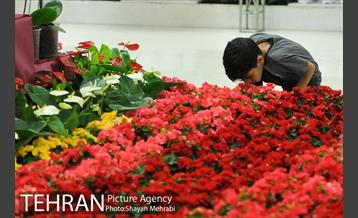 شانزدهمین نمایشگاه بین المللی گل و گیاه تهران - 2 24