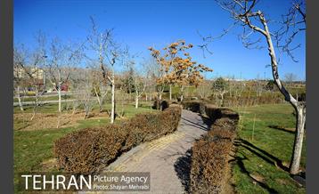 بوستان پلیس 36