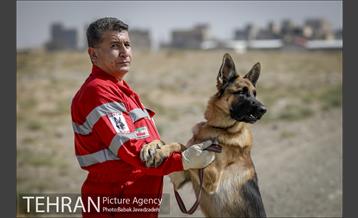 سگ های آنست 13