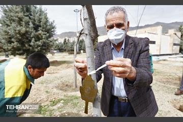 غرس ١٠٠ اصله نهال در دریاچه شهدای خلیج فارس با حضور خانواده شهدای هم محله‌ای 16