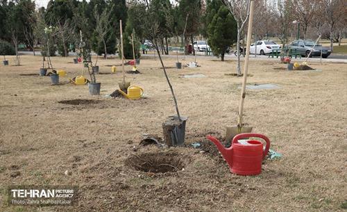 آیین پدران آسمانی  20