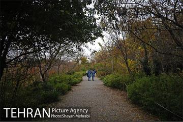 باغ گیاه‌شناسی ملی ایران 6