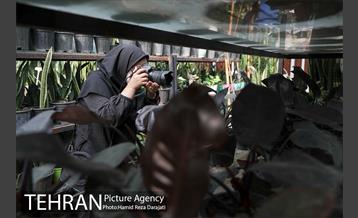 تور عکاسی از پروژه های منطقه 21