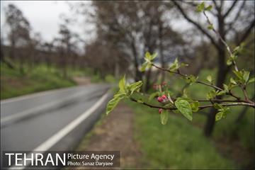 تعطیلی بوستان جنگلی سرخه حصار به منظور پیشگیری از شیوع ویروس کرونا 3