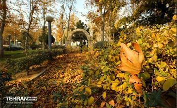 گذرگاه های پاییزی پایتخت - منطقه 13