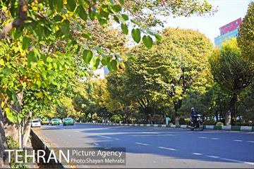 طبیعت پاییزی بلوار کشاورز 5