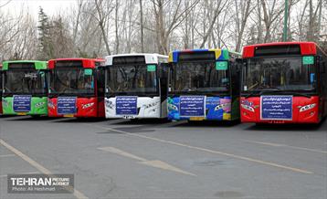 جشن درختکاری در منطقه 18 22