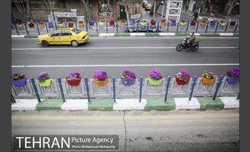 استقبال از بهار در خیابانهای تهران 24