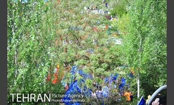 روز طبیعت در بوستان ولایت 8