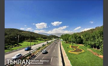 فصل بهار در بوستان های منطقه 4 15