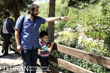 افتتاح اولین "باغچه خبر" در تهران 22