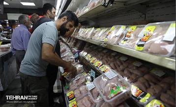 خدمات رسانی بازارهای میوه و تره‌بار 9