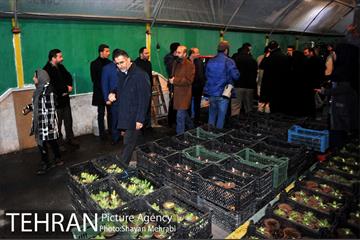 بازدید قائم مقام معاونت اجتماعی و جعمی از هنرمندان از سرای امید طلوع 36