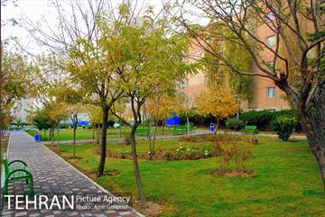 بوستان پارسیان 5