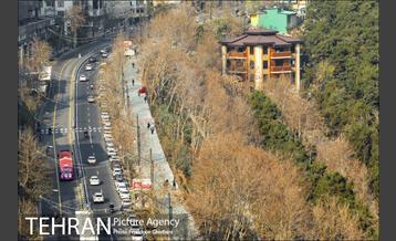 روزهای آفتابی زمستان 15