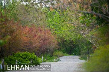 باغ گیاه‌شناسی ملی ایران 9