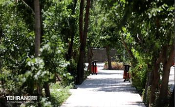 افتتاح بوستان شهدای خدمت و ۲۱۰ پروژه منطقه ۱۰ 10