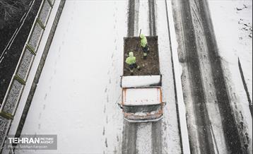 بارش اولین برف زمستانی در تهران 19