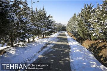 طبیعت برفی تلو 1