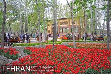 روش گل های لاله در باغ ایرانی 41
