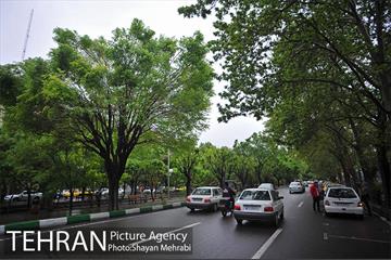 باران بهاری در تهران - 2 18