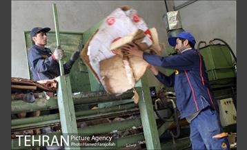 ایستگاه بازیافت پسماندهای خشک 8