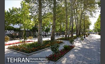 گذر پیاده راه استاد شهریار 5