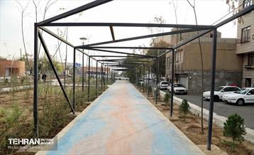 بازدید مشترک مدیران شهری برای کمک به پیشرفت پروژه باغ راه حضرت فاطمه زهرا (س) 3