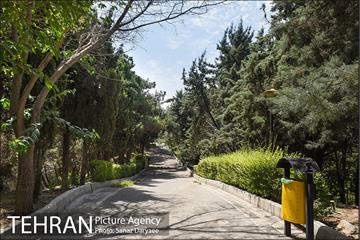 بوستان بهشت مادران 12