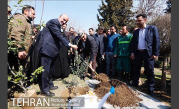 آیین کاشت درخت مادر 33