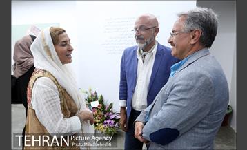 نمایشگاه نقاشی های فرح سلطانی در گالری ثالث‎ 9