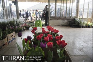 بازار گل شهید محلاتی 21