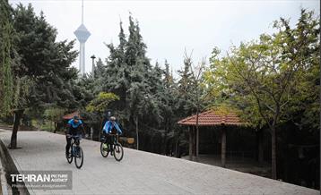 طبیعت پاییزی باغ راه فدک تهران 5