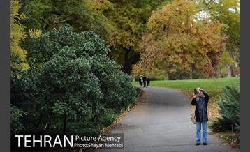 باغ گیاه‌شناسی ملی ایران 55