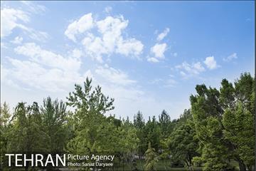 بوستان آزادگان 6