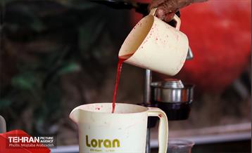 جشنواره انار «صد دانه یاقوت» 9