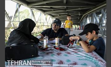 عصرانه کارتون پل طبیعت 32