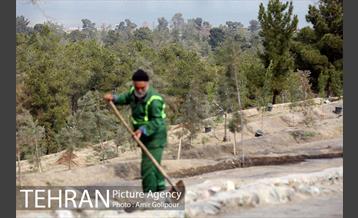 آیین کاشت درخت دانش در بوستان جنگلی چیتگر 27