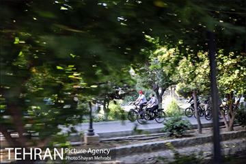 پویش سه شنبه های بدون خودرو 8