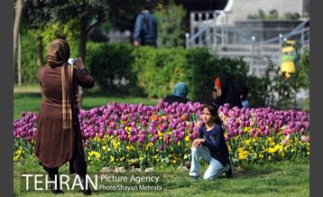 رویش گل های لاله در پارک شهر 30